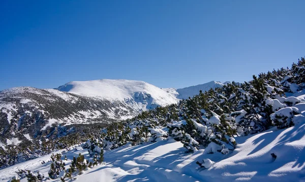 Τοπίο το χειμώνα στα βουνά. Βουλγαρίας, το Μπόροβετς — Φωτογραφία Αρχείου