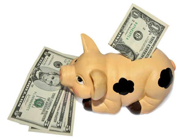 stock image Piggy bank