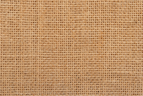 Модель джута
