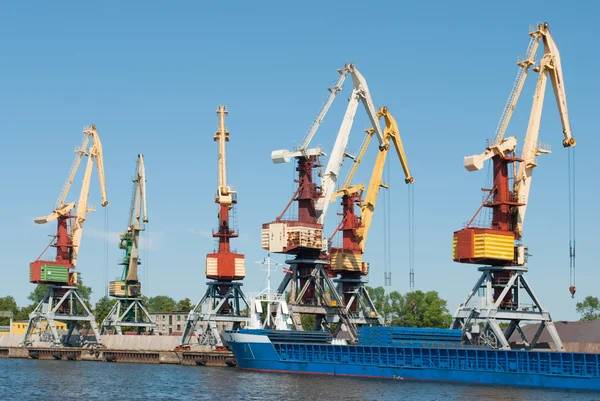 Giant cranes in port — Stock Photo, Image