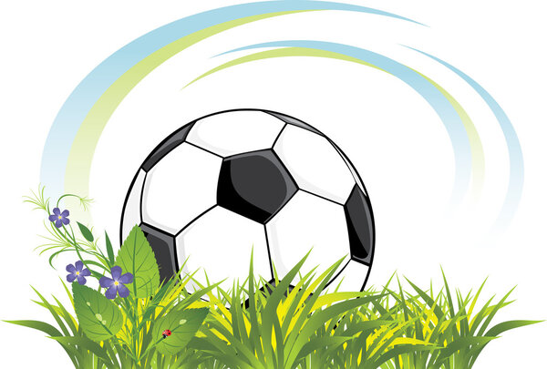 Soccer ball in the grass with flowers. Vector illustration