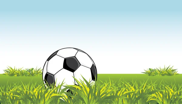 Ballon de football dans l'herbe — Image vectorielle