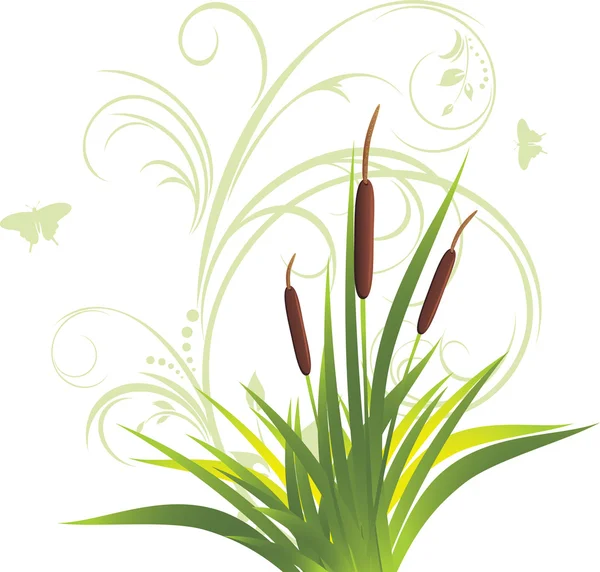 Canna ed erba con ornamento floreale — Vettoriale Stock