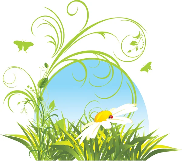 Camomille et herbe. Composition décorative pour le design — Image vectorielle