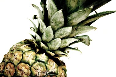 ananas closeup beyaz zemin üzerine