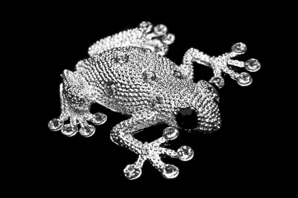Stříbrný žába — Stock fotografie