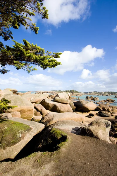 Brittany Deniz Kenarında Pembe Kayalar — Stok fotoğraf