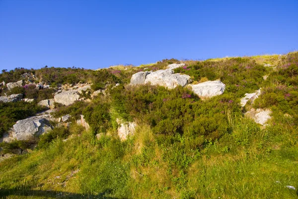 Pohled Krajinu Bretani — Stock fotografie