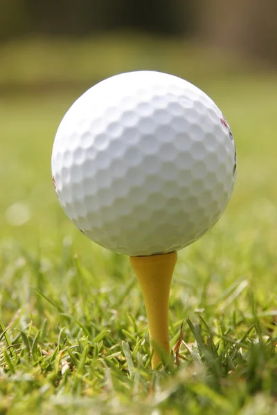 Golf Spela — Stockfoto