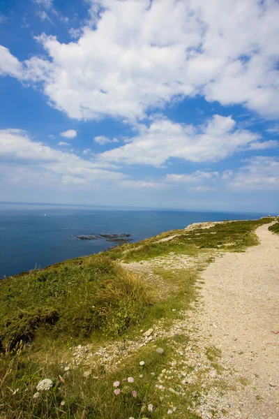 Widok Wybrzeże Bretanii — Zdjęcie stockowe
