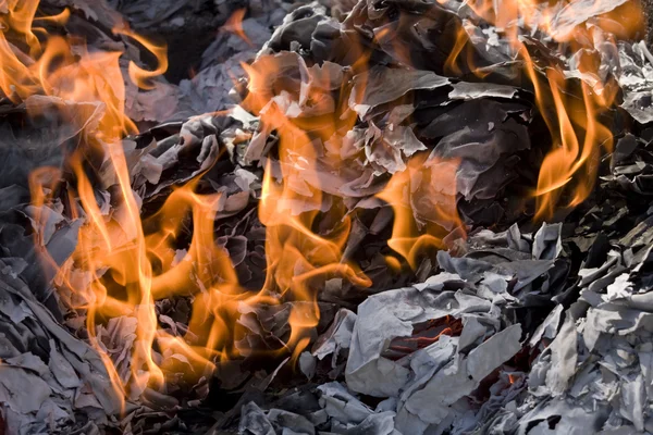 Einige Papiere Brennen Einem Großen Feuer — Stockfoto