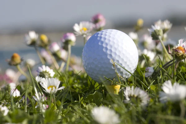 Golflabda Stock Kép