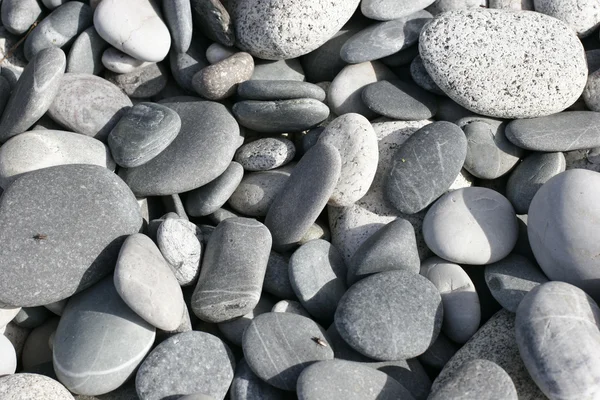 Παραλία των βράχων — Φωτογραφία Αρχείου