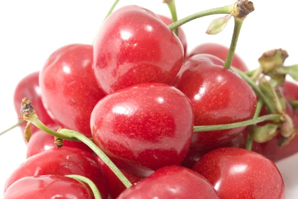 stock image Cherry