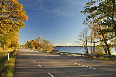 carretera escénica de otoño