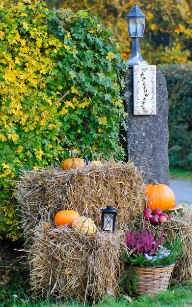 Halloween utomhus dekoration — Stockfoto