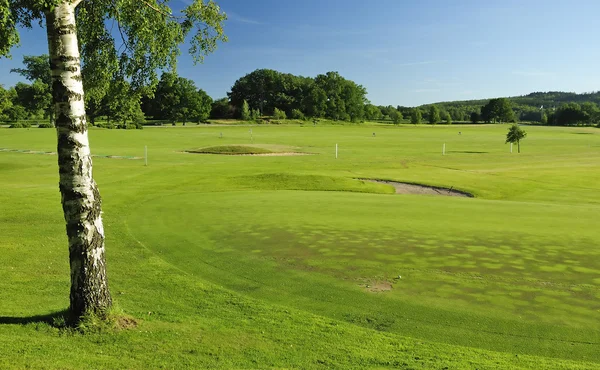 Пейзаж поля для гольфа — стоковое фото