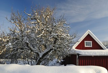 Swedish garden details in winter clipart