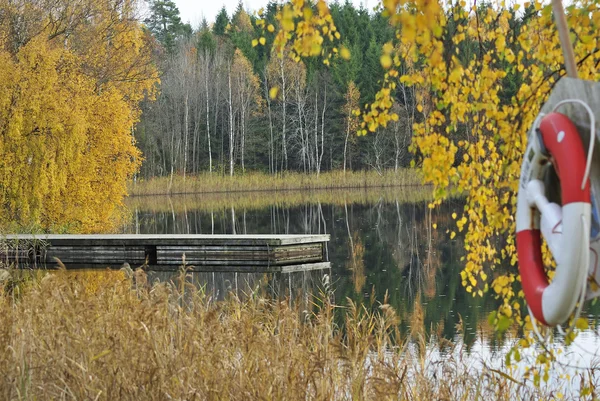 Autumns lake frame — Stock Photo, Image