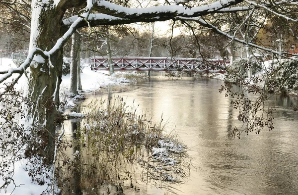 Parque sueco río en temporada de invierno —  Fotos de Stock