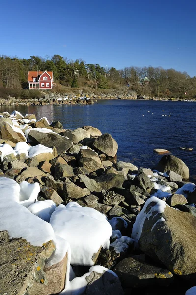 Jarní švédské moře detaily — Stock fotografie