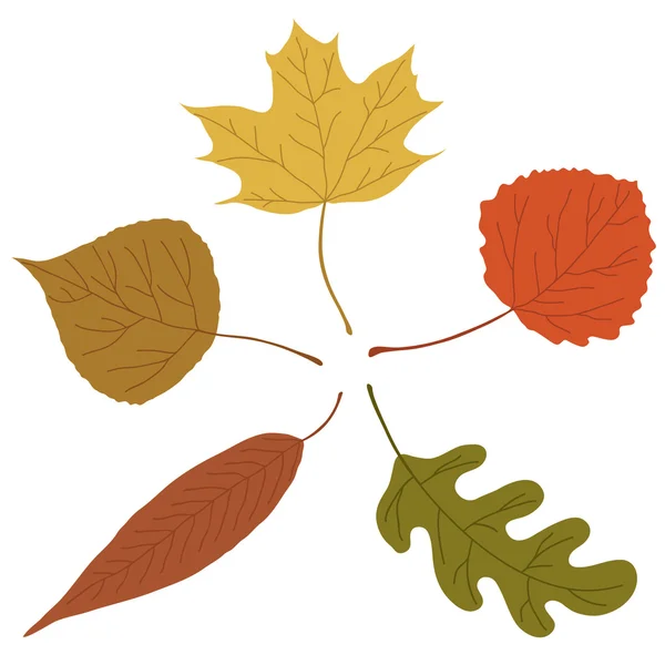 Feuilles d'automne — Image vectorielle