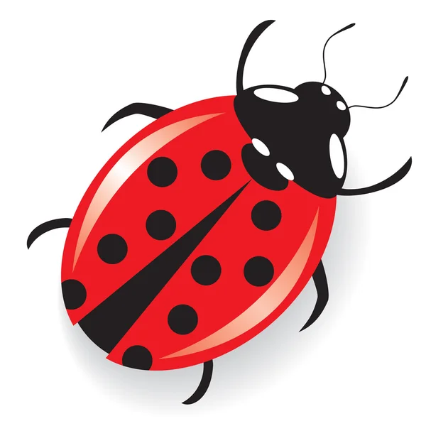 Vektör Kırmızı Yarı Gerçekçi Uğur Böceği — Stok Vektör