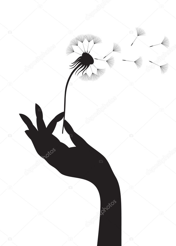 Silhouette of a female hand holding dandelion. Vector illustration.