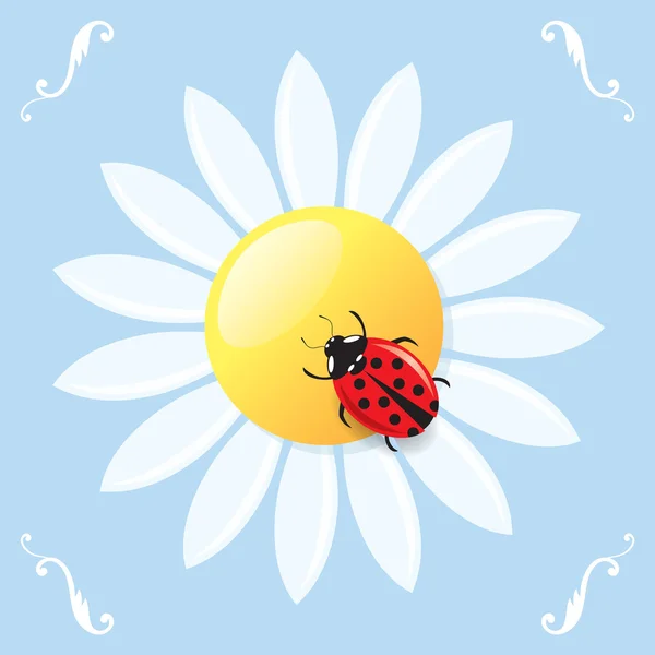 Marienkäfer auf einem Gänseblümchen — Stockvektor