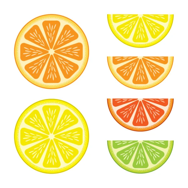 Citrusfrukter — Stock vektor