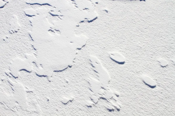 Antecedentes Texturas Fragmentos Gelo Neve Lago Congelado — Fotografia de Stock