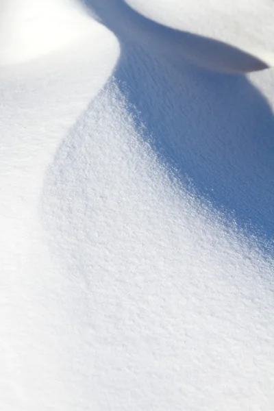 Сніг — стокове фото