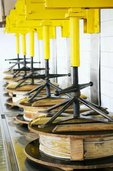 Fabricación de quesos —  Fotos de Stock
