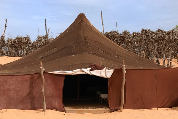 Campamento beduino — Foto de Stock