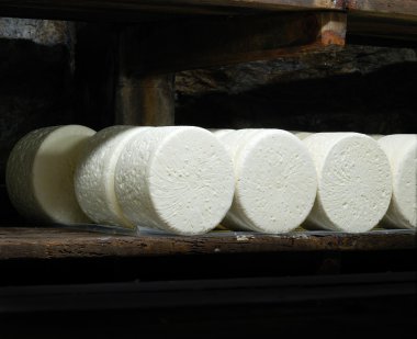 Roquefort cheese in refining in a typical cellard clipart