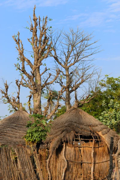 非洲小屋 — 图库照片