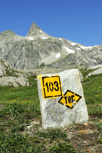 标记徒步旅行 伟大的圣伯纳德 通行证 阿尔卑斯山 意大利瑞士 — 图库照片