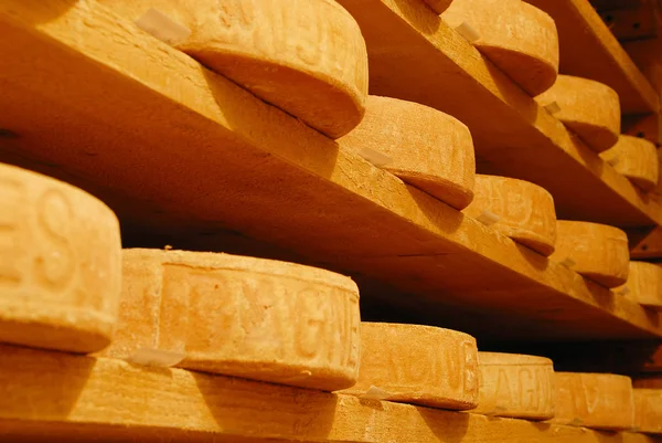 Mountain cheese — Stock Photo, Image
