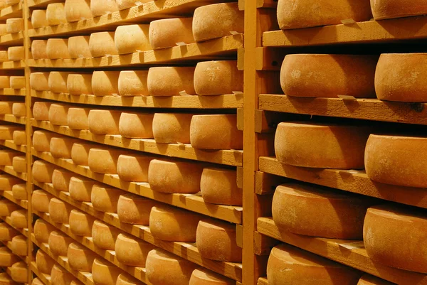 精製チーズ ラクレット — ストック写真
