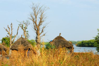 Afrikalı kabile hut