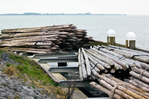 Posti di legno cumuli su una riva del mare — Foto Stock