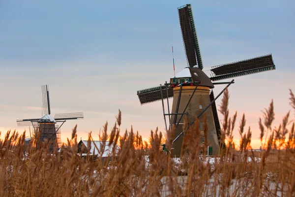 Kinderdijk väderkvarnar på vintern — Stockfoto
