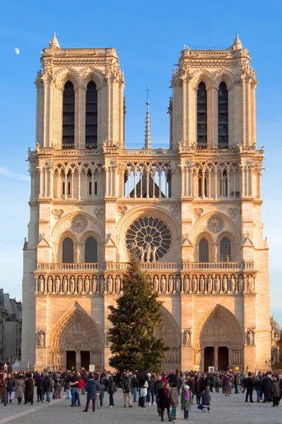 Natal em Notre-Dame — Fotografia de Stock