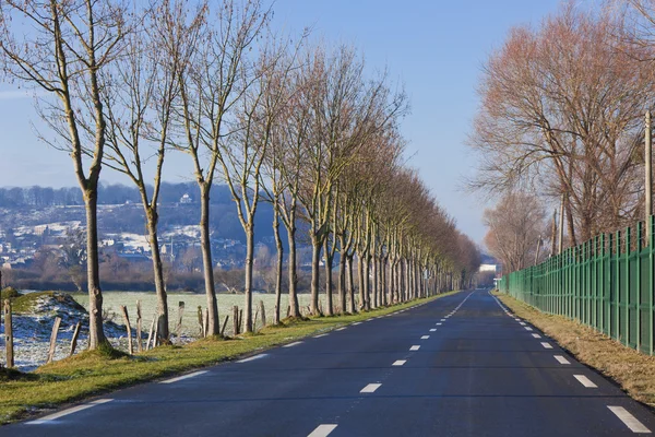 Country Road with Trees — Stock Photo, Image