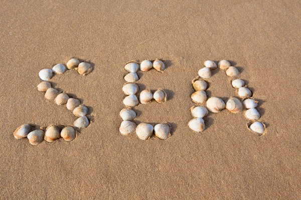 Mot coquille "mer" écrit sur le sable de la plage — Photo