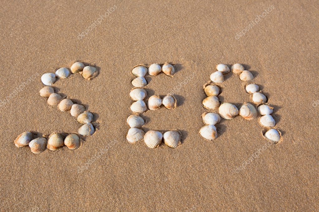 word-sea-shell-written-on-beach-sand-stock-photo-dvoevnore-4694961