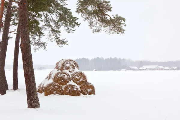 Vinter Gård Landskap Höstackar Snö Horisontella Skott — Stockfoto