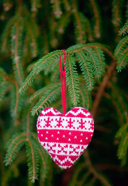 Knitting Heart Fir Tree Branch Vertical Shot — Stock Photo, Image