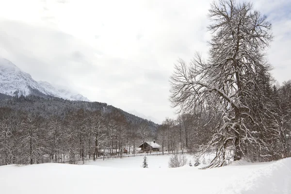 Alpine dorp op sneeuw winter — Stockfoto
