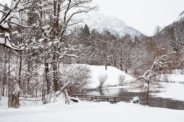 Paisaje Alpino Invierno Con Bosque Lago Plano Horizontal —  Fotos de Stock